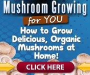 mushroomSystem